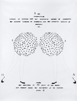 Symmetry, Suffering and Dismay